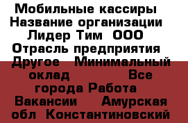 Мобильные кассиры › Название организации ­ Лидер Тим, ООО › Отрасль предприятия ­ Другое › Минимальный оклад ­ 50 000 - Все города Работа » Вакансии   . Амурская обл.,Константиновский р-н